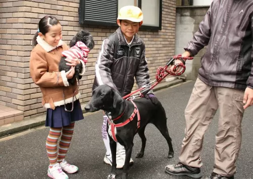 大型犬でもサークルフリーのドッグホテルですのサムネイル