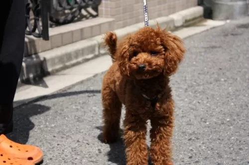 リールのサムネイル