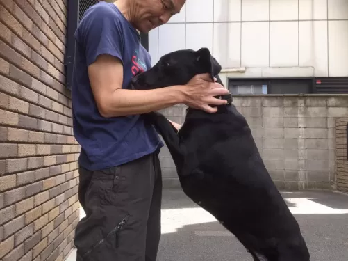 元警察犬訓練士がオーナーのペットホテルです。のサムネイル