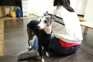 ペットホテルに不安のある方は是非一日体験にお越しくださいのサムネイル