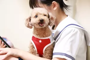 ペットホテルが苦手な犬ちゃんは体験にお越しくださいのサムネイル