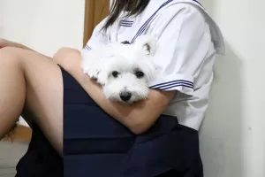 前田家全員で犬ちゃんのお世話をしますのサムネイル