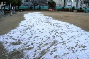 大阪で今年は初雪のサムネイル