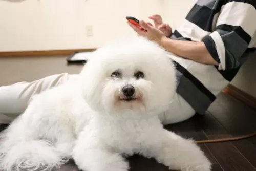 宿泊前の日帰り体験ですのサムネイル