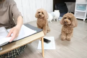 千葉県から来て頂きましたのサムネイル